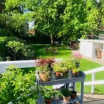 Beautiful And Charming House In Odense
