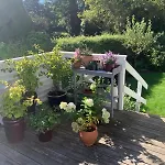 빌라 Beautiful And Charming House In *