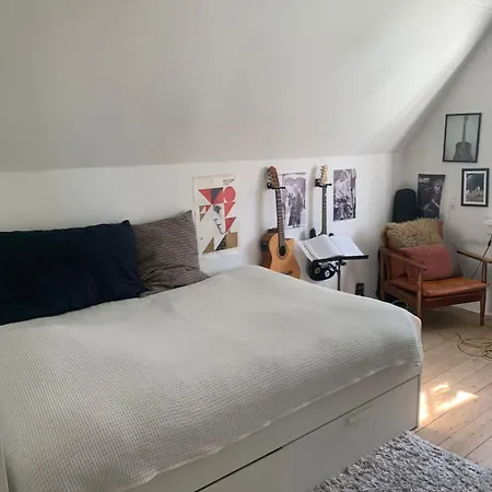 别墅 Beautiful And Charming House In 欧登塞